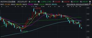 比亚迪2个月跌超20%!券商还唱多。竟喊出455元目标价