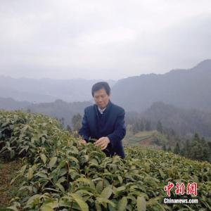 三农提案高产户李云才:农民一年比一年好是最大期待