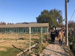 江苏现代农业梨产业技术体系溧阳基地开展云培训