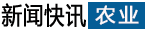 频道首页